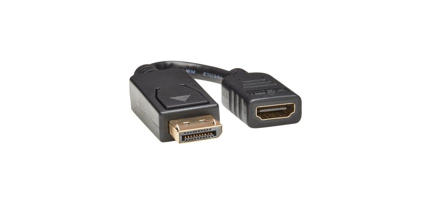 Tripp Lite P136-000 câble vidéo et adaptateur 0,15 m DisplayPort HDMI Noir