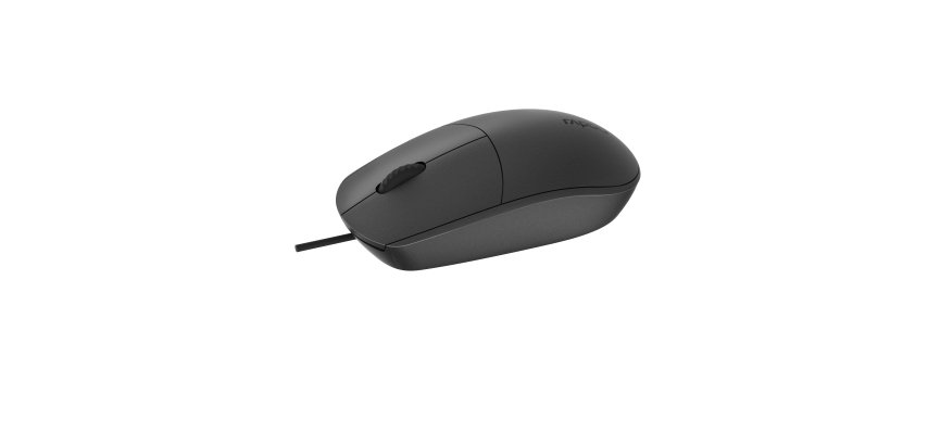 Rapoo N100-BK mouse Ufficio Ambidestro USB tipo A Ottico 1600 DPI