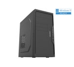 YASHI YY13216 PC Intel® Pentium® Gold G6400 8 GB DDR4-SDRAM 256 GB SSD Windows 11 Pro Mini Tower Black