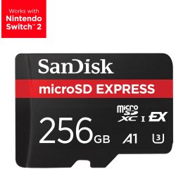 SanDisk Express 256 GB MicroSDXC UHS-I