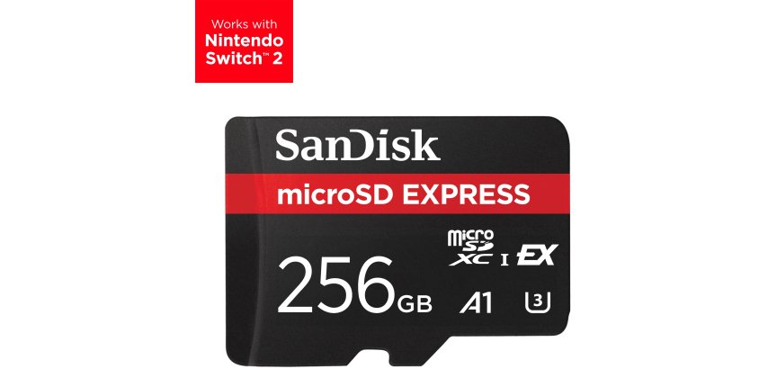 SanDisk Express 256 Go MicroSDXC UHS-I