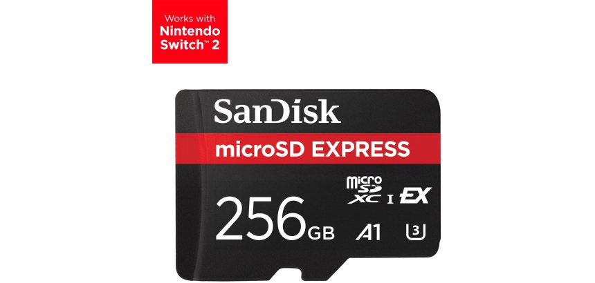 SanDisk Express 256 Go MicroSDXC UHS-I