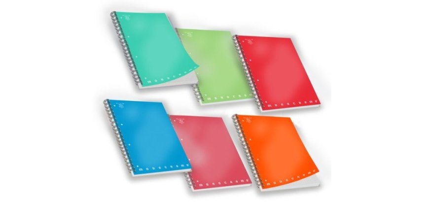 Pigna 02175655M writing notebook 70 sheets Assorted colours
