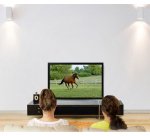 Ergotron Glide Wall Mount, HD 152,4 cm (60") Muur Zwart
