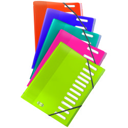 Trieur Oxford school life a4 12positions polypro translucide assorti