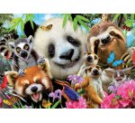 Puzzles carton 300 pieces educa les animaux 300 pieces