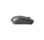 Rapoo M100 Silent mouse Ufficio Ambidestro RF senza fili + Bluetooth Ottico 1000 DPI