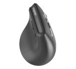 Rapoo EV310M mouse Ufficio Mano destra RF senza fili + Bluetooth Ottico 2400 DPI