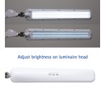MAULcraft LED Desk Lamp, Table Clamp, Adjustable Intensity, White