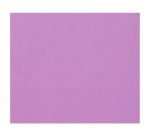 Tulipe rame 25F 50x65cm 160g - Lilas