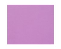 Tulipe rame 25F 50x65cm 160g - Lilas
