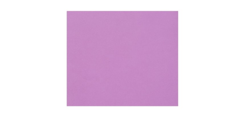 Tulipe rame 25F 50x65cm 160g - Lilas
