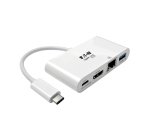 Tripp Lite U444-06N-HGU-C adaptateur graphique USB 1920 x 1080 pixels Blanc