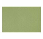 Papier dessin canson feuille mi-teintes n 475 grain gelatine haute teneur coton 160g 50x x65cm unicolore vert pomme