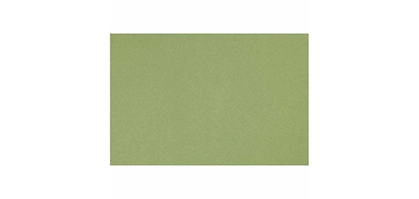 Papier dessin canson feuille mi-teintes n 475 grain gelatine haute teneur coton 160g 50x x65cm unicolore vert pomme