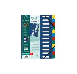 Trieur exacompta harmonika carte lustrée 24 compartiments fenêtres dos extensible onglets multicolores coloris assortis