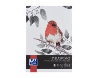 Bloc Drawing Oxford Art Endosse 210X297 80P 160G Uni