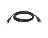 Tripp Lite U022-006 câble USB USB 2.0 1,8 m USB A USB B Noir