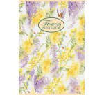 Pigna 02298854M writing notebook A4 40 sheets Multicolour