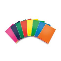 Pigna 02308751F writing notebook A4 Multicolour