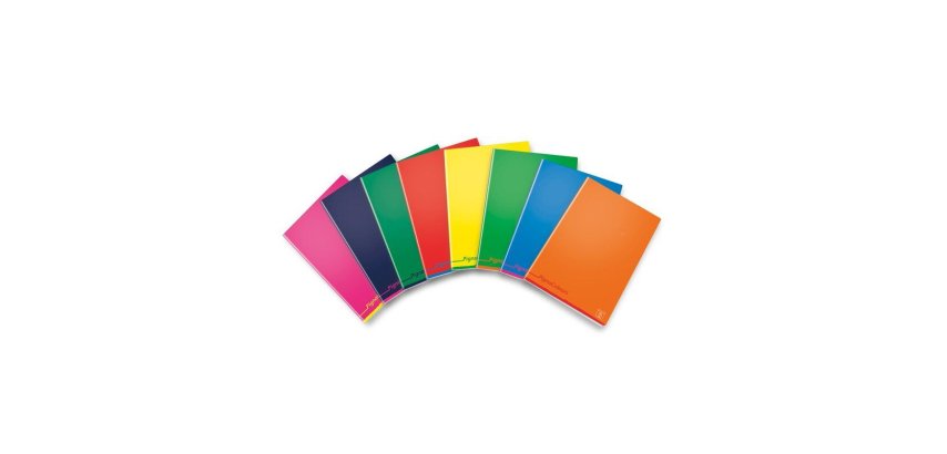 Pigna 02308754F writing notebook A4 Multicolour