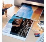 Papier d'impression Avery Dennison PAPIER PHOTO BRILLANT A4 -25 FEUILLES - 270 G/M²