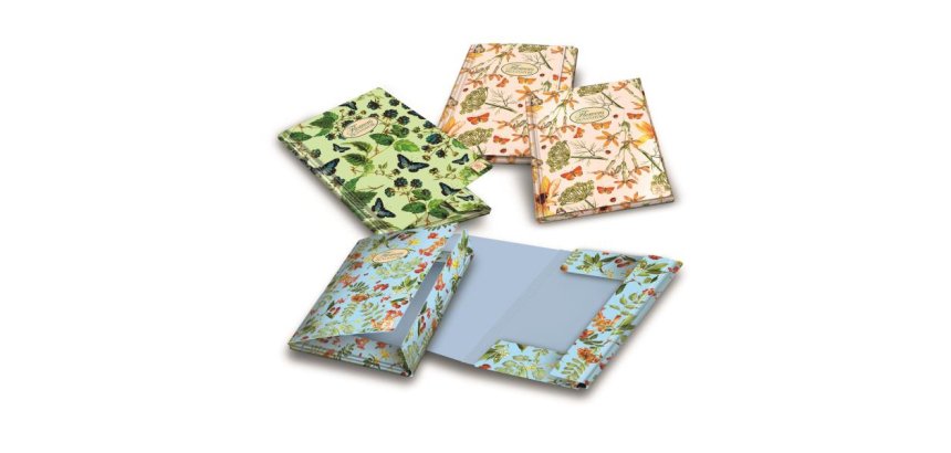 Pigna Flowers Cardboard Multicolour