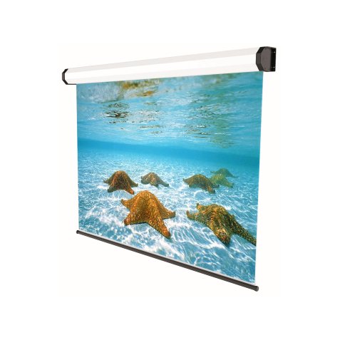 Sopar 5321 schermo per proiettore 3,99 m (157") 4:3