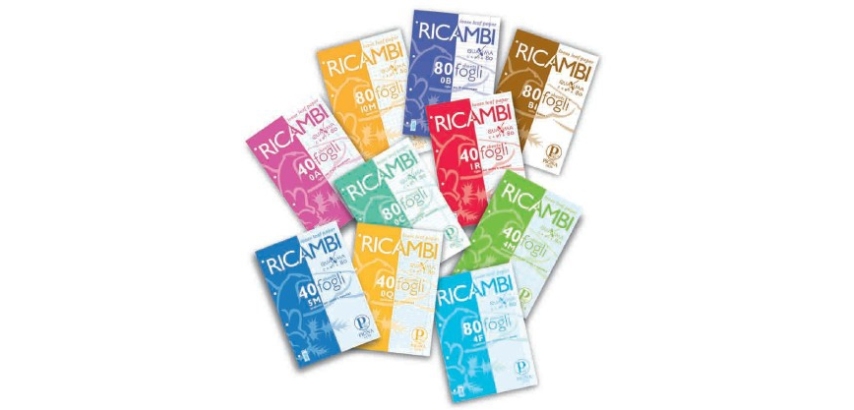 Ricambi forati Quaxima - A4 - 1 rigo - 80 gr - Pigna - conf. 40 pezzi