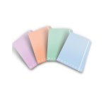 Pigna 02299023L folder Multicolour