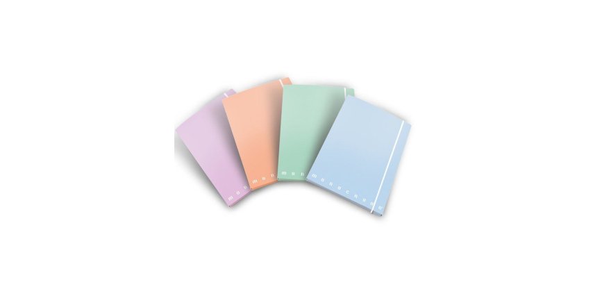 Pigna 02299023L folder Multicolour
