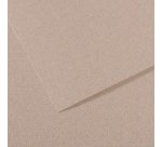 Papier dessin canson feuille mi-teintes n 426 grain gelatine haute teneur coton 160g 50x x65cm unicolore gris clair