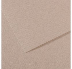 Papier dessin canson feuille mi-teintes n 426 grain gelatine haute teneur coton 160g 50x x65cm unicolore gris clair