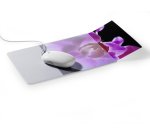 Durable 5747-19 Transparent