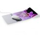 Durable 5747-19 Transparent