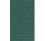 Papier cadeau 'kraft', vert mousse
