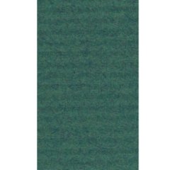 Papier cadeau 'kraft', vert mousse