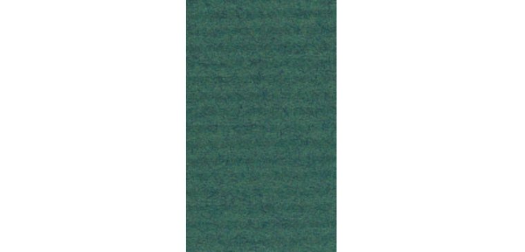 Papier cadeau 'kraft', vert mousse
