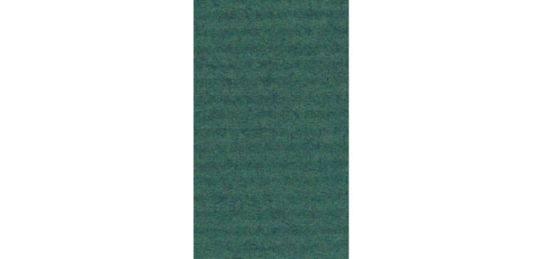 Papier cadeau 'kraft', vert mousse