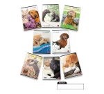Pigna 8005235100411 quaderno per scrivere A4 42 fogli Multicolore