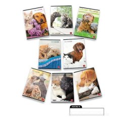 Pigna 8005235100411 quaderno per scrivere A4 42 fogli Multicolore