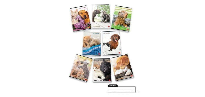 Pigna 8005235100411 quaderno per scrivere A4 42 fogli Multicolore