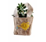 Fils a broder sodertex 8 ml 52pieces 26 coloris assortis