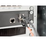 Digitus Cavo DAC SFP+ 10G da 10m
