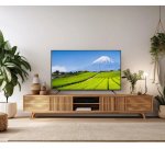 JAPANNEXT JN-IPS550UHD60F écran plat de PC 139,7 cm (55") 3840 x 2160 pixels 4K Ultra HD LCD Noir