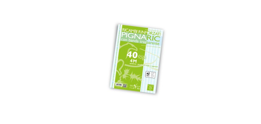 Ricambi forati rinforzati Pignaric - A4 -  4mm - 80gr - Pigna - conf. 40 pezzi