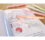 Pochette de 6 surligneurs effaçables FRIXION Light Natural. Coloris tendance