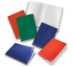 Pigna 0206864 writing notebook Blue, Green, Red