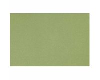 Papier dessin canson feuille mi-teintes n 475 grain gelatine haute teneur coton 160g 50x x65cm unicolore vert pomme