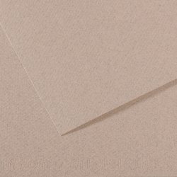 Papier dessin canson feuille mi-teintes n 426 grain gelatine haute teneur coton 160g 50x x65cm unicolore gris clair